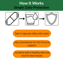 Century Systems 7 SHIELDS Immune System Support-90 Capsules