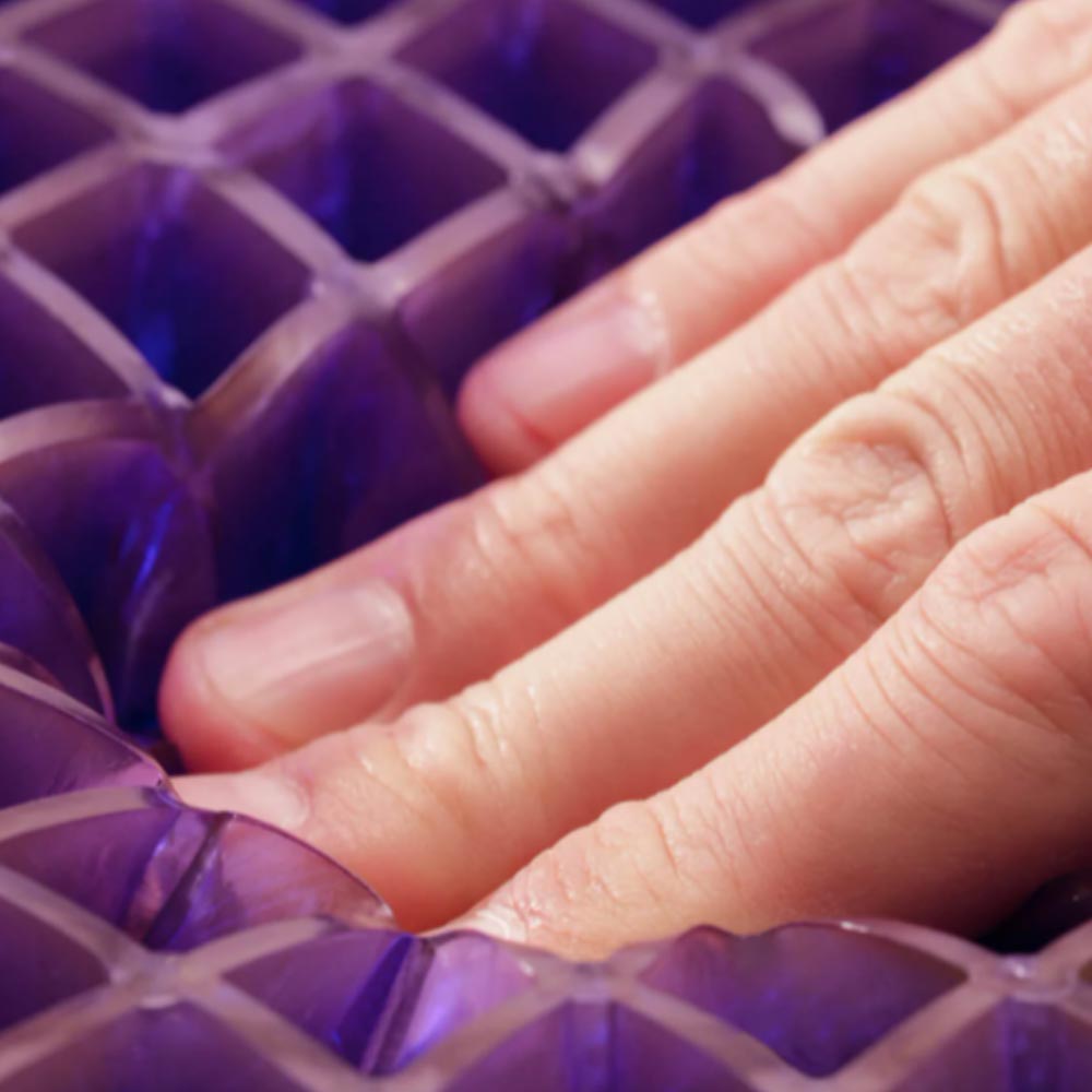 The Royal Purple Seat Cushion