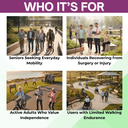 Pride Mobility Infographics (26).png