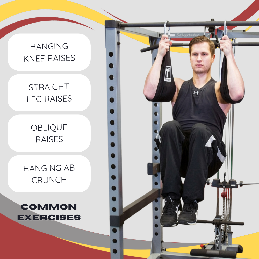 Body-Solid Gut Blaster Ab Slings Hanging Abdominal Training Straps