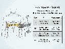 7 body-solid-bicep-bomber-adjustable-fit-guide.png