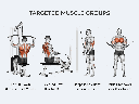 2 best-fitness-bfla250-targeted-muscle-group-exercises.png
