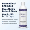 dermazinc-shampoo-medicated-dandruff-treatment.webp