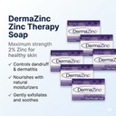 dermazinc-zinc-therapy-soap-bar-6-pack-treatment.webp