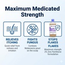 dermazinc-shampoo-anti-dandruff-benefits-itching-relief.webp