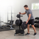 4 body-solid-gwt86-home-gym-weight-organization.png