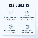 2 body-solid-kettlebells-workout-benefits.png
