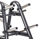 SportsArt A902 Olympic Plate Tree