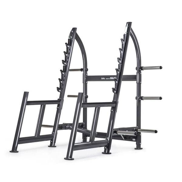 SportsArt A965 Squat Rack