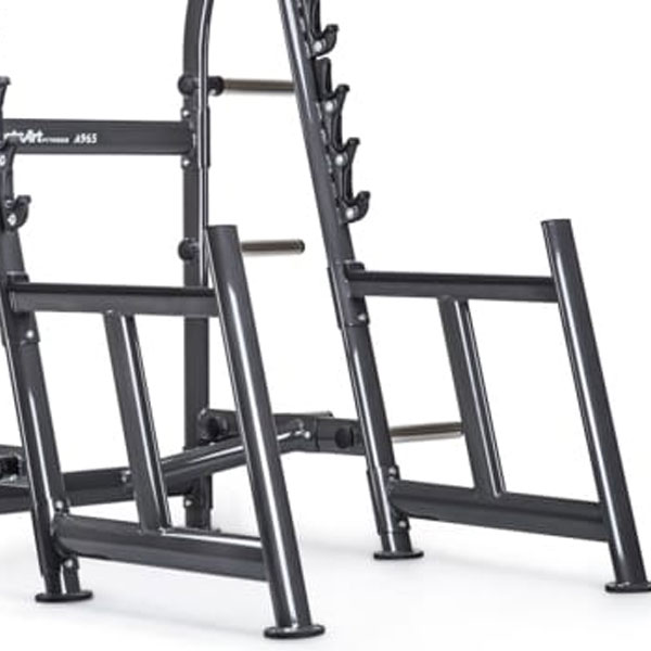SportsArt A965 Squat Rack