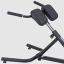 SportsArt A993 45 Deg Back Hyperextension