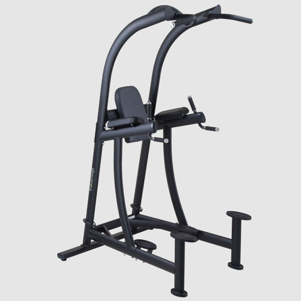 SportsArt A994 VKR Chin Dip Station