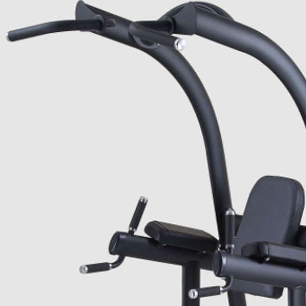 SportsArt A994 VKR Chin Dip Station