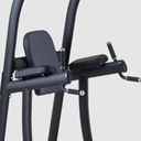 SportsArt A994 VKR Chin Dip Station
