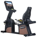 SportsArt C576R-16 Status Senza Recumbent Cycle