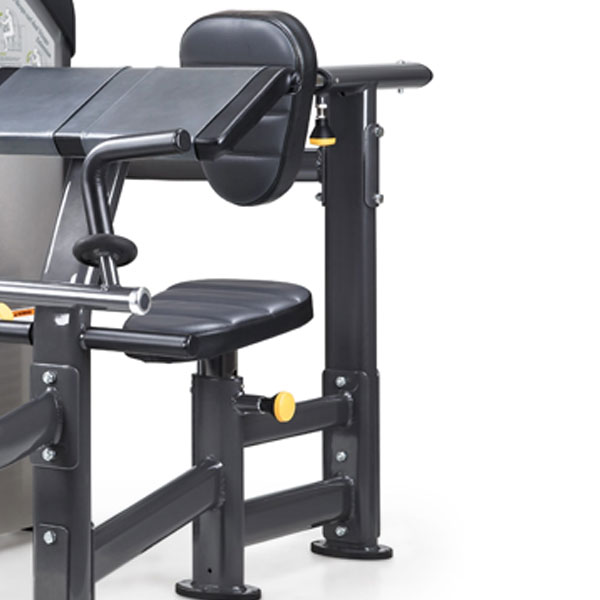 SportsArt DF-205 Performance Biceps Curl/Triceps Extension