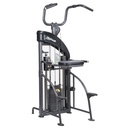 SportsArt DF207 Performance Dual Function Chin-Up/Tricep Dip