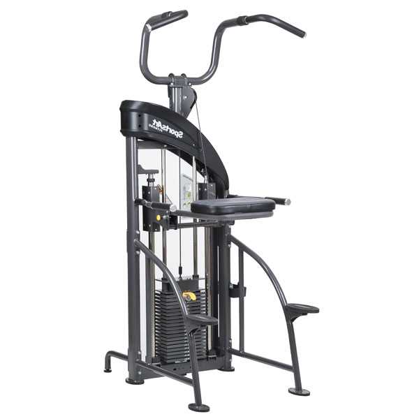 SportsArt DF207 Performance Dual Function Chin-Up/Tricep Dip