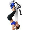 EZ-Up Inversion & Chin-Up System