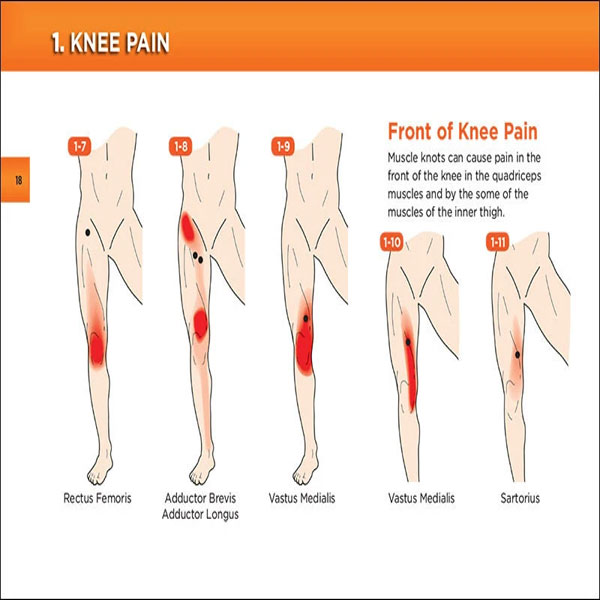 Happy Muscles® Book