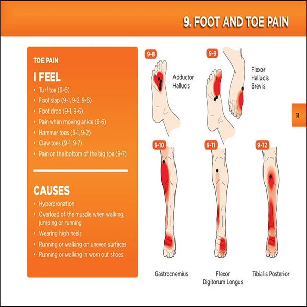 Happy Muscles® Book