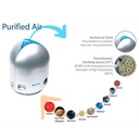 AirFree 2000 Air Sterilizer and Purifier-Platinum