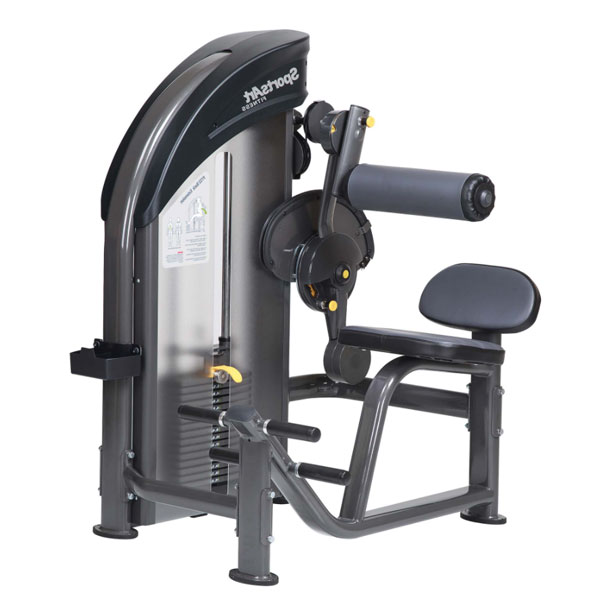 SportsArt P732 Performance Back Extension