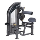 SportsArt P732 Performance Back Extension