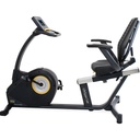 LifeSpan Fitness R5i Recumbent Bike