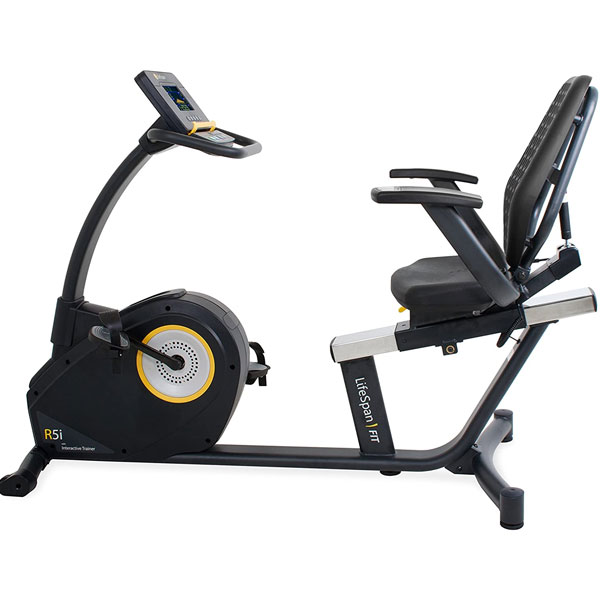 LifeSpan Fitness R5i Recumbent Bike