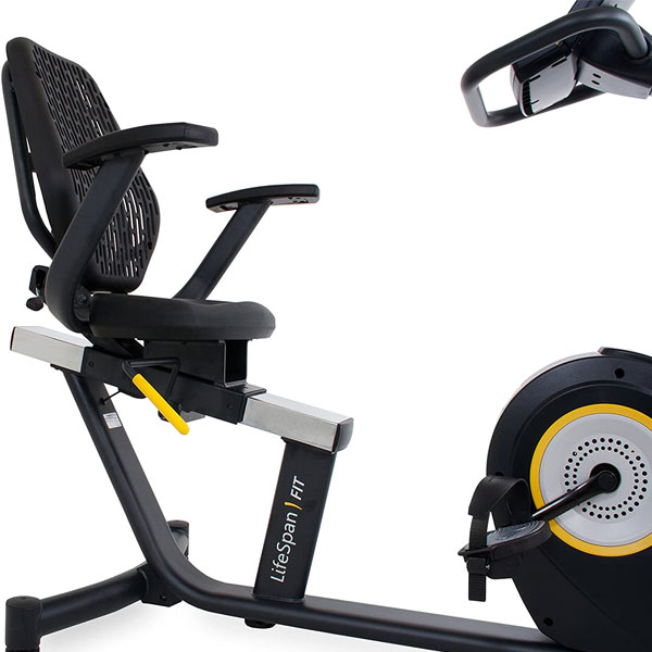 LifeSpan Fitness R5i Recumbent Bike