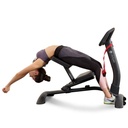 LifeSpan SP1000 Stretch Partner Pro