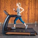 SportsArt T676 Status Eco-Natural Treadmill