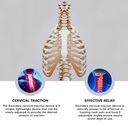 Saunders Cervical Traction Home Device-Image_4.jpg