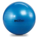 Thera-Band Pro Series SCP Exercise Ball