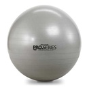 Thera-Band Pro Series SCP Exercise Ball