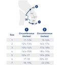 Bauerfeind Genutrain S