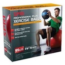 SPRI Professional Plus Xercise Ball – 65cm Red | Premium Stability Ball for Fitness, Rehab & Core Strength
