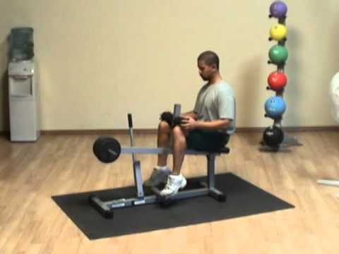 Body-Solid Powerline Seated Calf Raise – Ultimate Calf Training Machine for Strength and Definition