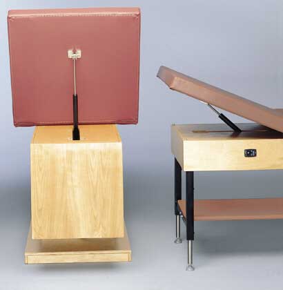 Bailey Accessory Adjustable Backrest (Rachet Fitting Type)