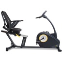 LifeSpan Fitness R5i Recumbent Bike