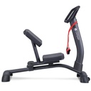 LifeSpan SP1000 Stretch Partner Pro