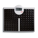 Seca 813 Digital Floor Scale w/High Capacity