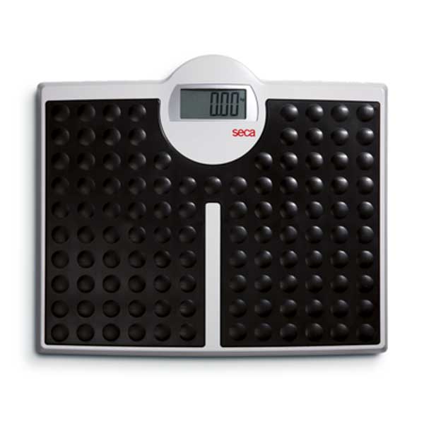 Seca 813 Digital Floor Scale w/High Capacity