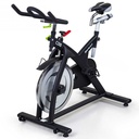 SportsArt C510 Status Indoor Cycling Bike