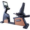 SportsArt C576R-16 Status Senza Recumbent Cycle