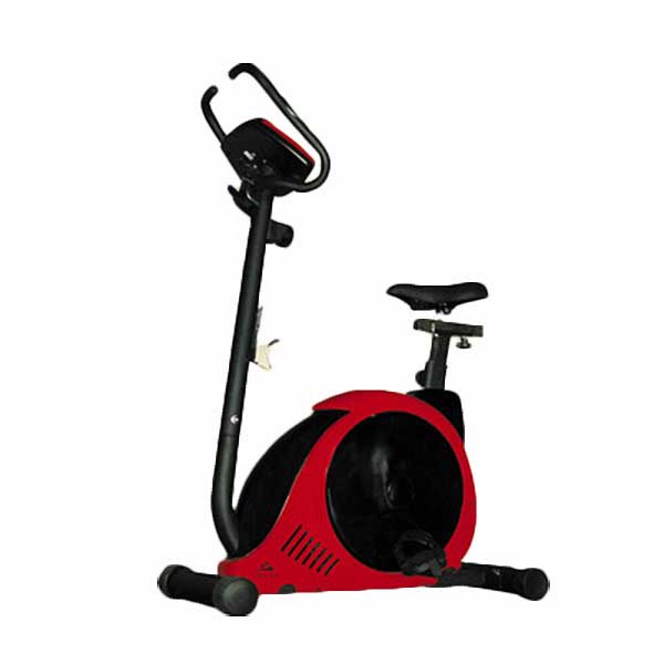 Yukon Olympia Upright Bike