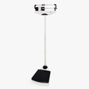 Seca 700 Mechanical column scale with eye-level beam