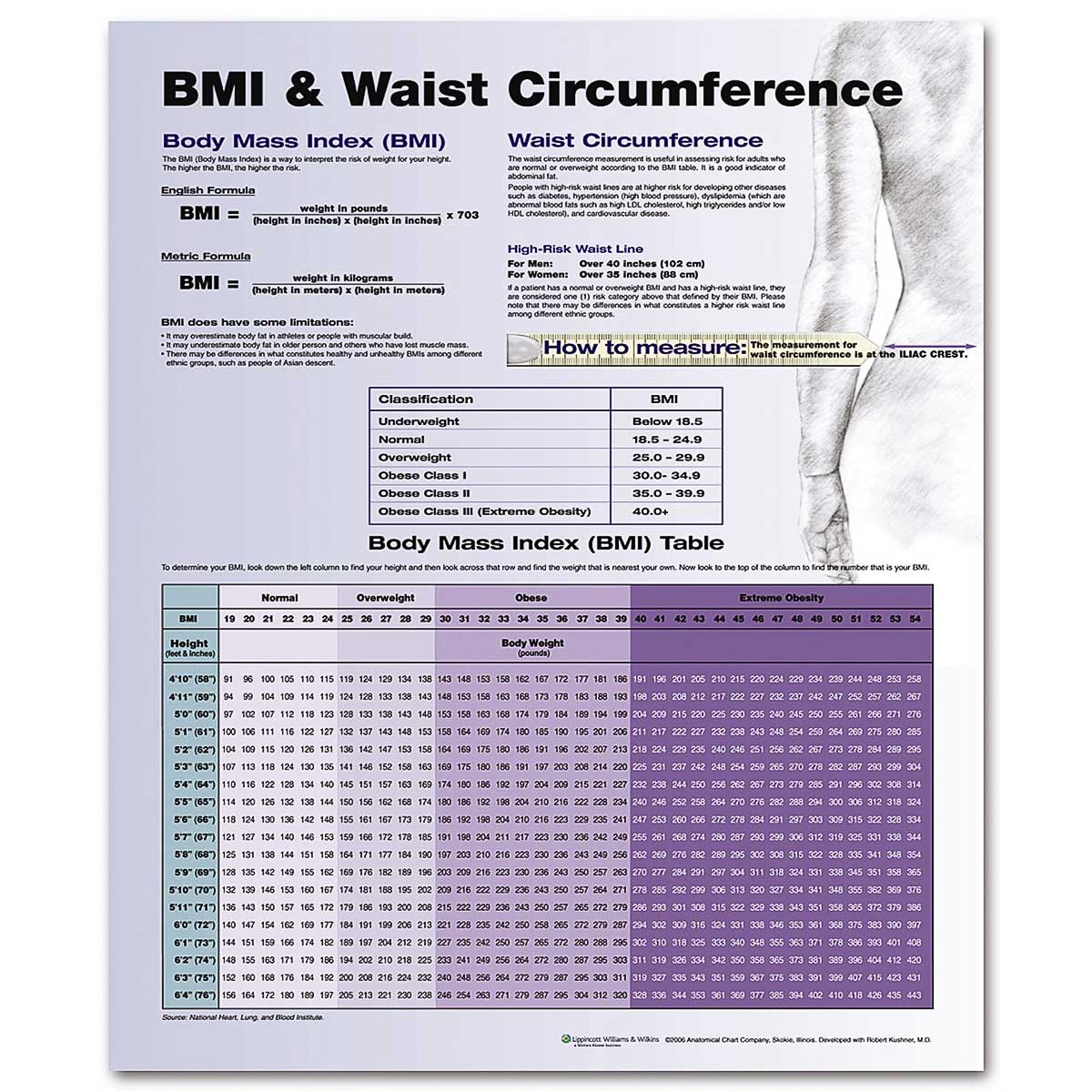 BMI & Waist Circumference Chart