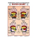 Reflexology Charts